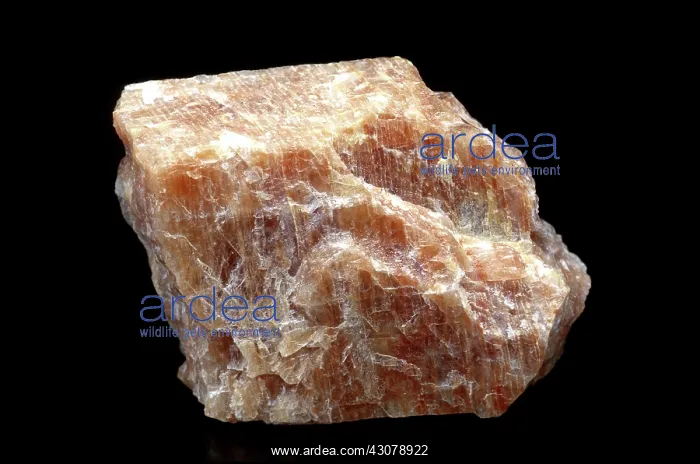 : Pink Feldspar : Pink Feldspar