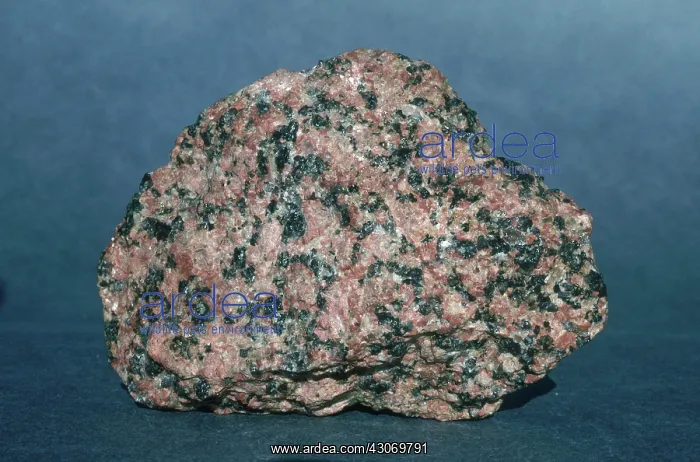 : Pink Granite : Pink Granite