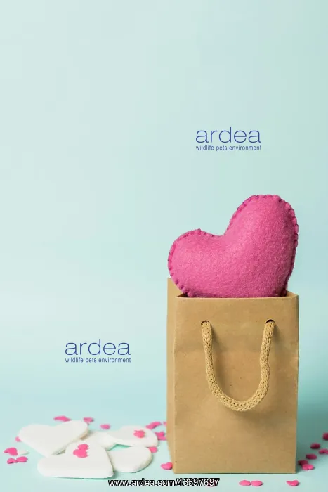 : Pink heart craft bag near decorations : Pink heart craft bag near decorations
