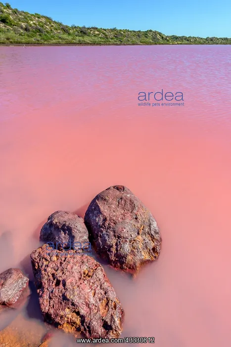  : Pink Lake Region Kalbarri (Port Gregory), Western