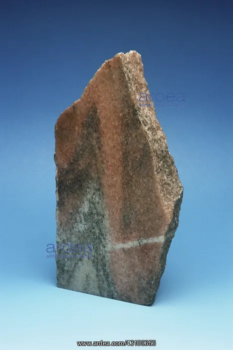  : Pink Marble