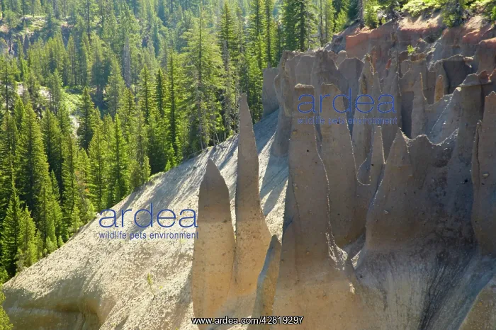 : The Pinnacles : The Pinnacles