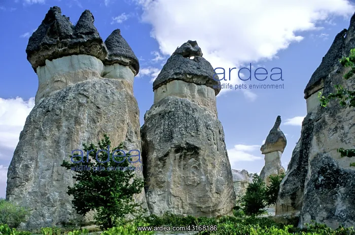 : Pinnacles in Cappadocia : Pinnacles in Cappadocia