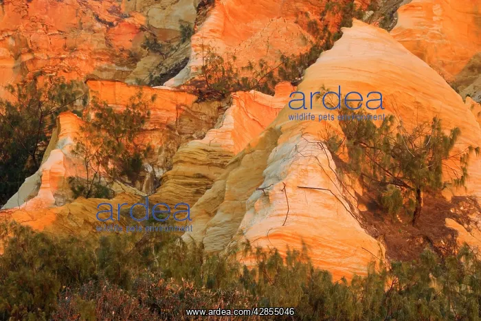 : The Pinnacles - coloured sands and sandstone cliffs : The Pinnacles - coloured sands and sandstone cliffs