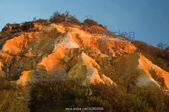 : The Pinnacles - coloured sands and sandstone cliffs : The Pinnacles - coloured sands and sandstone cliffs