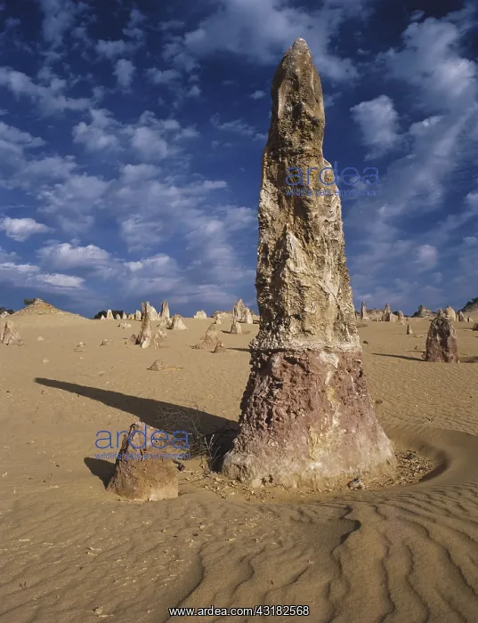 : Pinnacles Desert, Australia : Pinnacles Desert, Australia