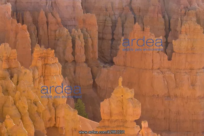 : Pinnacles of limestone rock (so-called hoodoos) : Pinnacles of limestone rock (so-called hoodoos)