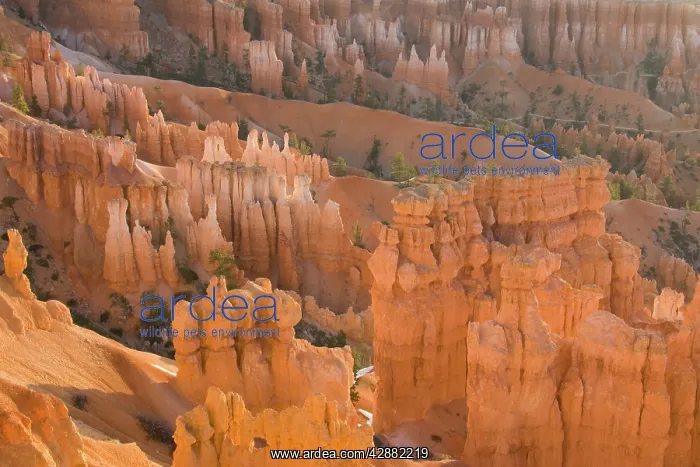 : Pinnacles of limestone rock (so-called hoodoos) : Pinnacles of limestone rock (so-called hoodoos)