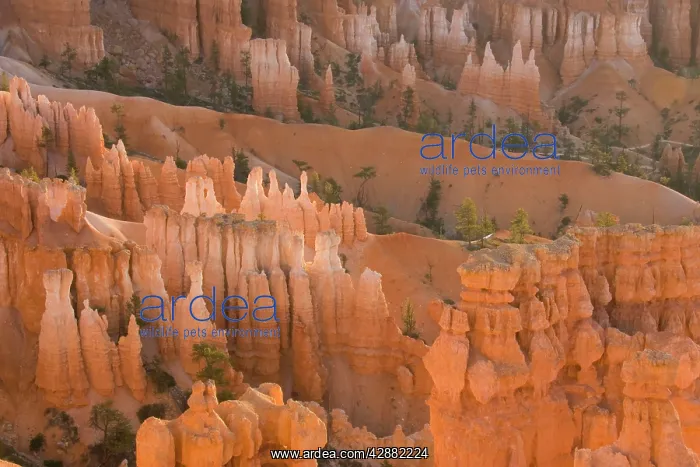 : Pinnacles of limestone rock (so-called hoodoos) : Pinnacles of limestone rock (so-called hoodoos)