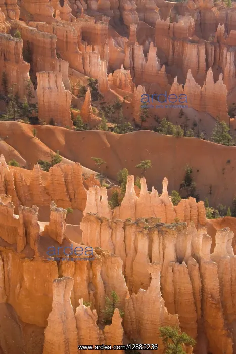 : Pinnacles of limestone rock (so-called hoodoos) : Pinnacles of limestone rock (so-called hoodoos)