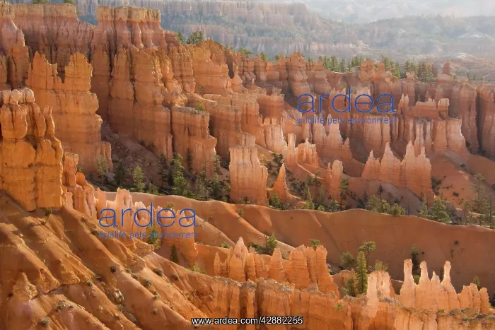 : Pinnacles of limestone rock (so-called hoodoos) : Pinnacles of limestone rock (so-called hoodoos)