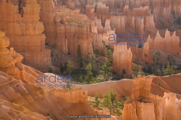 : Pinnacles of limestone rock (so-called hoodoos) : Pinnacles of limestone rock (so-called hoodoos)