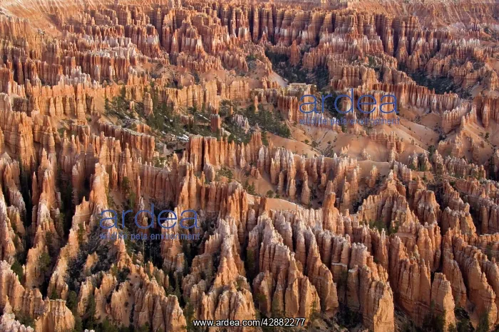 : Pinnacles of limestone rock (so-called hoodoos) : Pinnacles of limestone rock (so-called hoodoos)