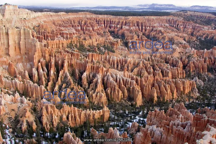 : Pinnacles of limestone rock (so-called hoodoos) : Pinnacles of limestone rock (so-called hoodoos)