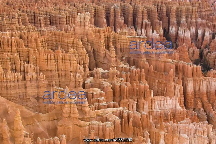 : Pinnacles of limestone rock (so-called hoodoos) : Pinnacles of limestone rock (so-called hoodoos)