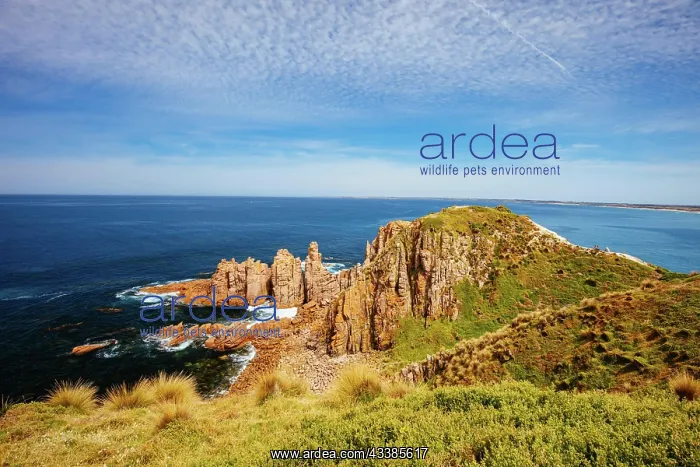 : Pinnacles Lookout view of dramatic rock formations a : Pinnacles Lookout view of dramatic rock formations a