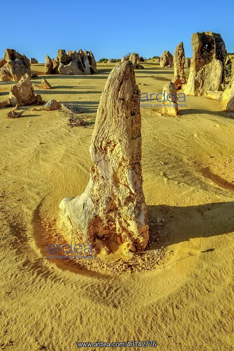 : The Pinnacles, Nambung National Park, Western : The Pinnacles, Nambung National Park, Western