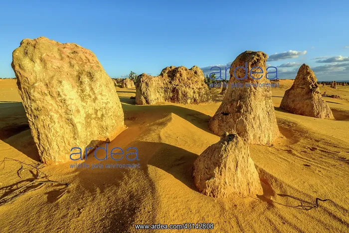 : The Pinnacles, Nambung National Park, Western : The Pinnacles, Nambung National Park, Western