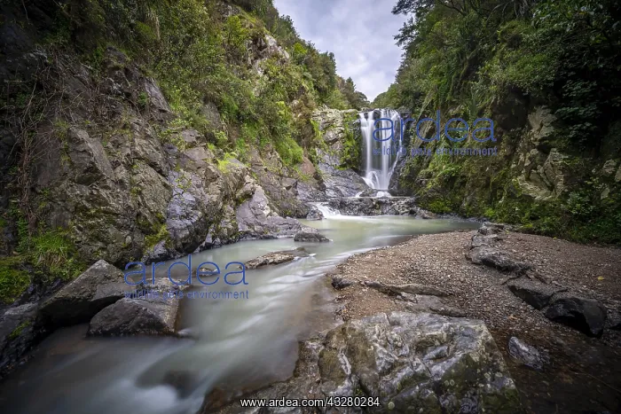 : Piroa Waterfall, Maungaturoto, Northland, North : Piroa Waterfall, Maungaturoto, Northland, North