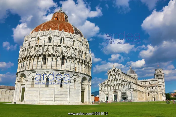 : Pisa Baptistery of St John, Pisa Cathedral and the : Pisa Baptistery of St John, Pisa Cathedral and the