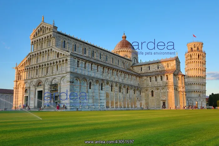 : Pisa Cathedral and the Leaning Tower of Pisa bell : Pisa Cathedral and the Leaning Tower of Pisa bell