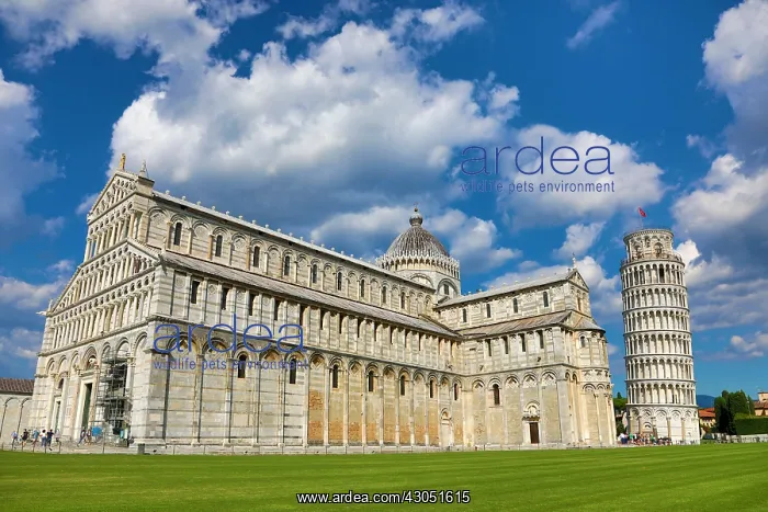 : Pisa Cathedral and the Leaning Tower of Pisa bell : Pisa Cathedral and the Leaning Tower of Pisa bell