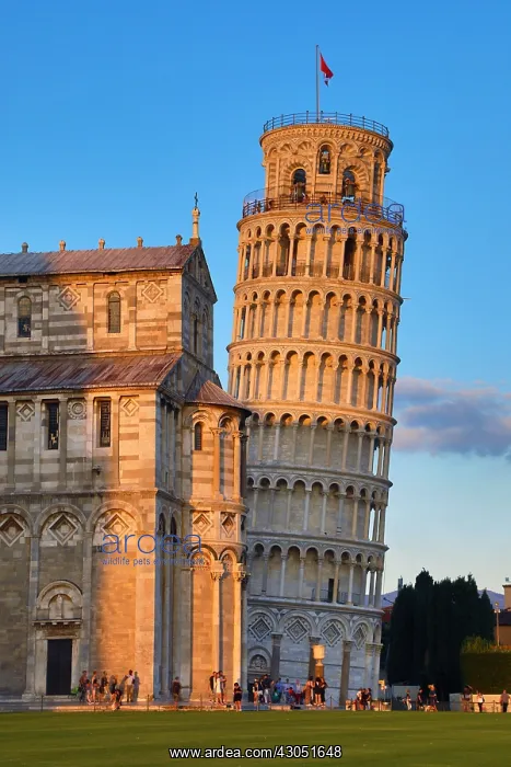: Pisa Cathedral and the Leaning Tower of Pisa bell : Pisa Cathedral and the Leaning Tower of Pisa bell