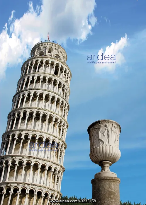 : Pisa, Italy, Tuscany, Piazza dei Miracoli : Pisa, Italy, Tuscany, Piazza dei Miracoli