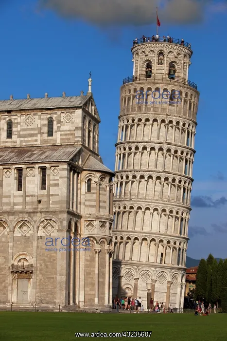 : Pisa's Leaning Tower, Tuscany, Italy : Pisa's Leaning Tower, Tuscany, Italy