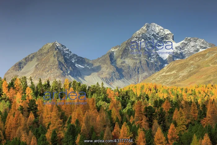  : Piz Albana, Piz Julier, Upper Engadine, Grisons