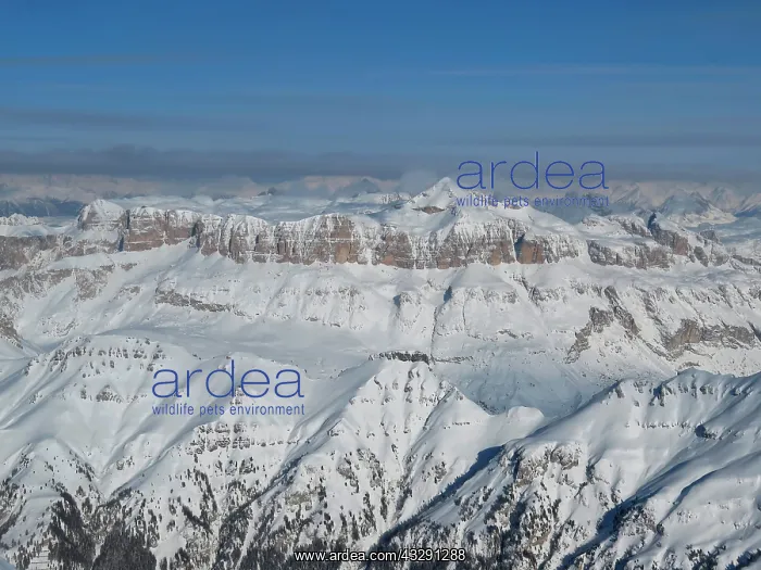 : Piz Boe, Sella Group, Dolomites, Italy, Europe : Piz Boe, Sella Group, Dolomites, Italy, Europe
