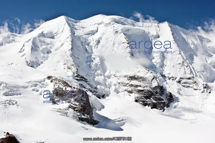 : Piz Palu, 3905m, in the Bernina group : Piz Palu, 3905m, in the Bernina group