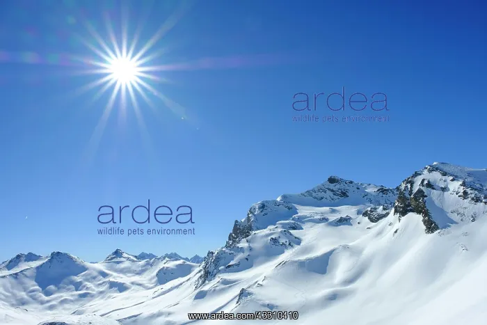 : Piz Tasna with snow, view from Fuorcla Davo Dieu : Piz Tasna with snow, view from Fuorcla Davo Dieu