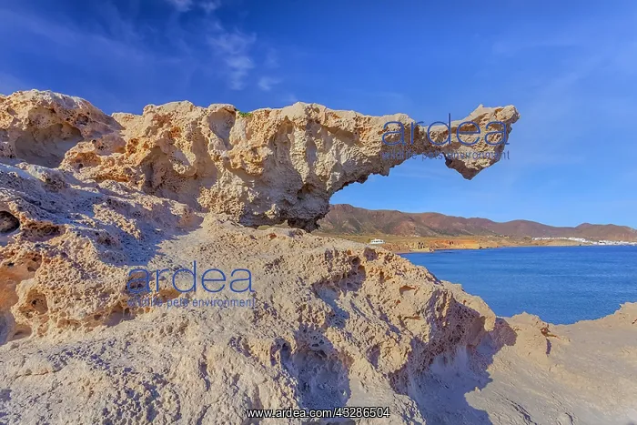 : Place del Arco - white rock formations on Playa : Place del Arco - white rock formations on Playa