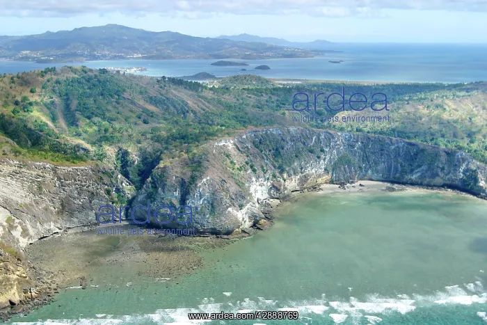  : Plage de Moya, Mayotte Island, Indian Ocean