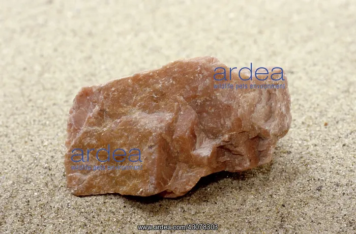 : Plagioclase : Plagioclase