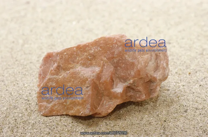 : Plagioclase feldspar : Plagioclase feldspar