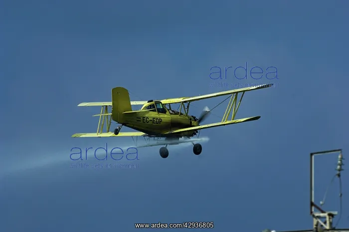 : Plane Crop spraying in Adalucia : Plane Crop spraying in Adalucia