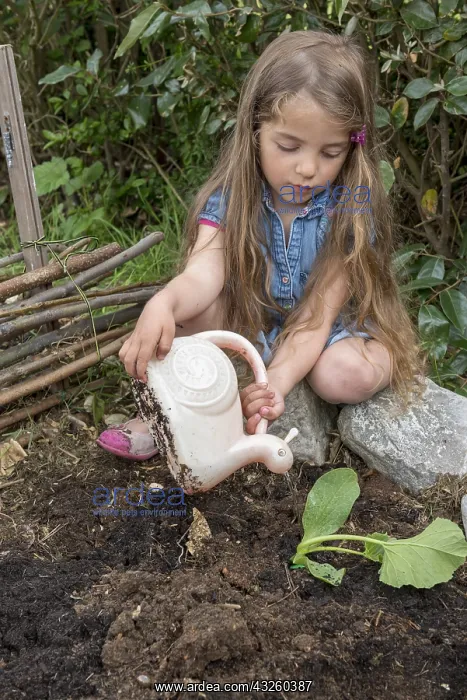  : Plantation step by step of squashes by little girls