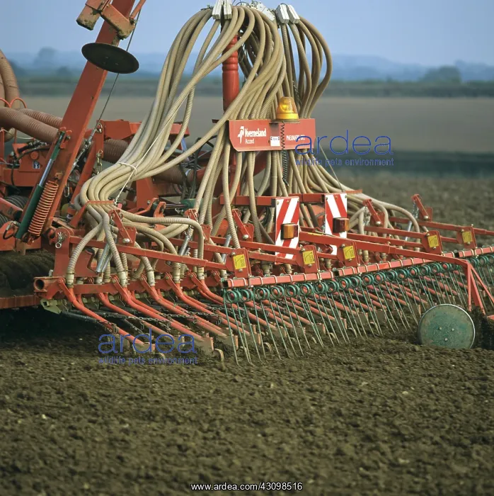 : Planting Cereal Crop : Planting Cereal Crop