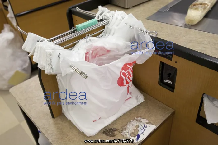 : Plastic Bags in Supermarket : Plastic Bags in Supermarket