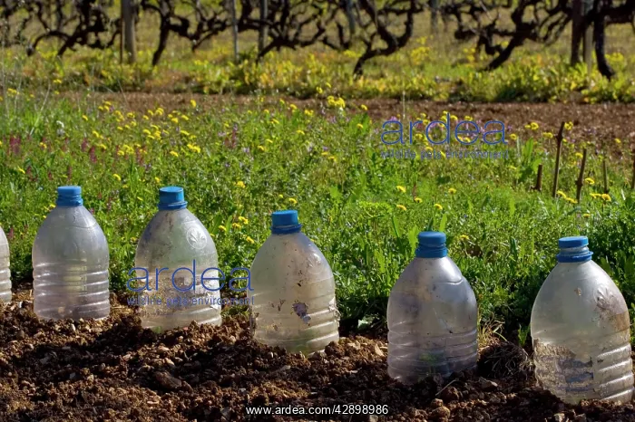 : Plastic bottle recycling as mini-greenhouses : Plastic bottle recycling as mini-greenhouses