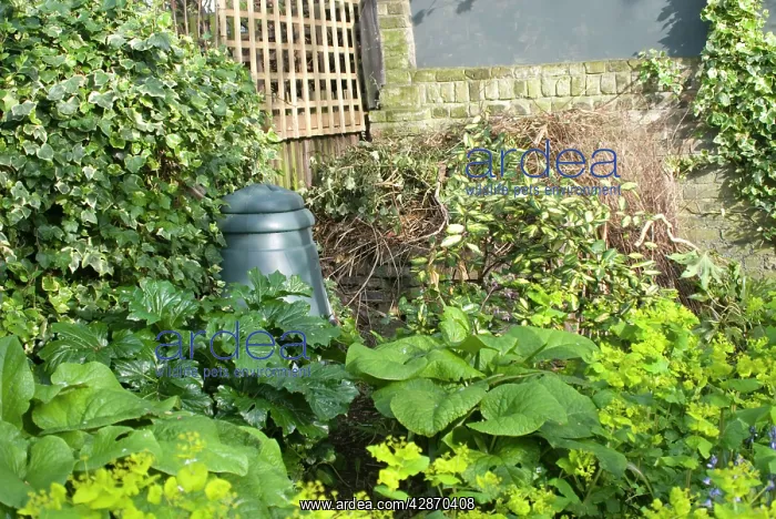 : Plastic Compost Bin in garden corner : Plastic Compost Bin in garden corner