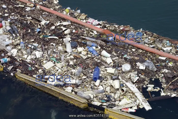 : Plastic debris, Los Cerritos Channel : Plastic debris, Los Cerritos Channel