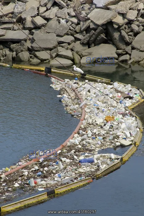 : Plastic debris, Los Cerritos Channel : Plastic debris, Los Cerritos Channel
