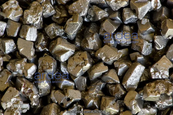 : Platinum Crystals - Eastern Siberia : Platinum Crystals - Eastern Siberia