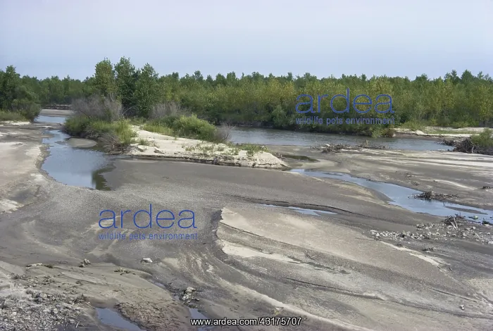 : Platte River : Platte River