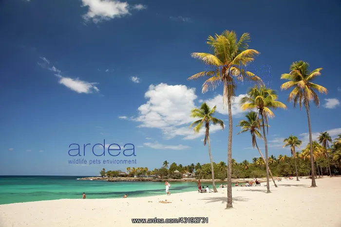 : Playa Bacuranao beach, Playas del Este, Habana del : Playa Bacuranao beach, Playas del Este, Habana del