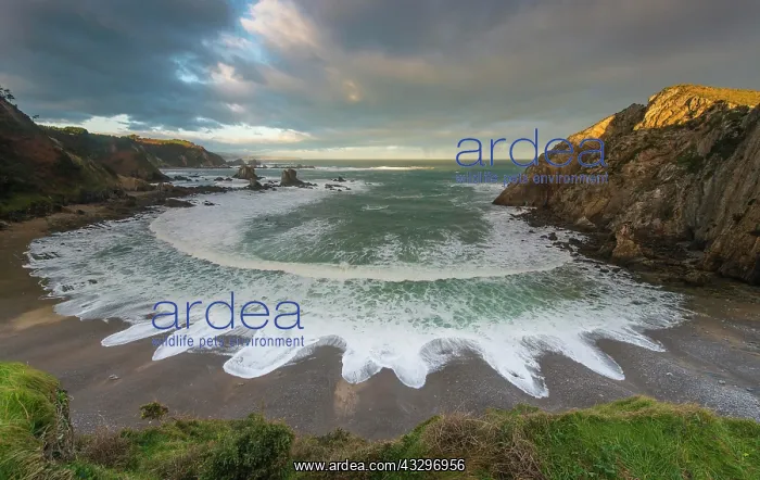 : Playa del Silencio, cloudy atmosphere, Bay of Biscay : Playa del Silencio, cloudy atmosphere, Bay of Biscay