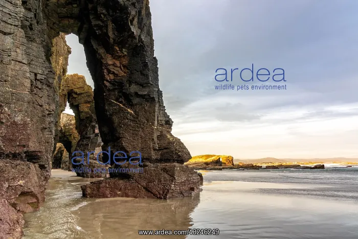 : the Playa de las Catedrales Bbeach in Galicia in : the Playa de las Catedrales Bbeach in Galicia in